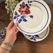 Vintage Luneville plates