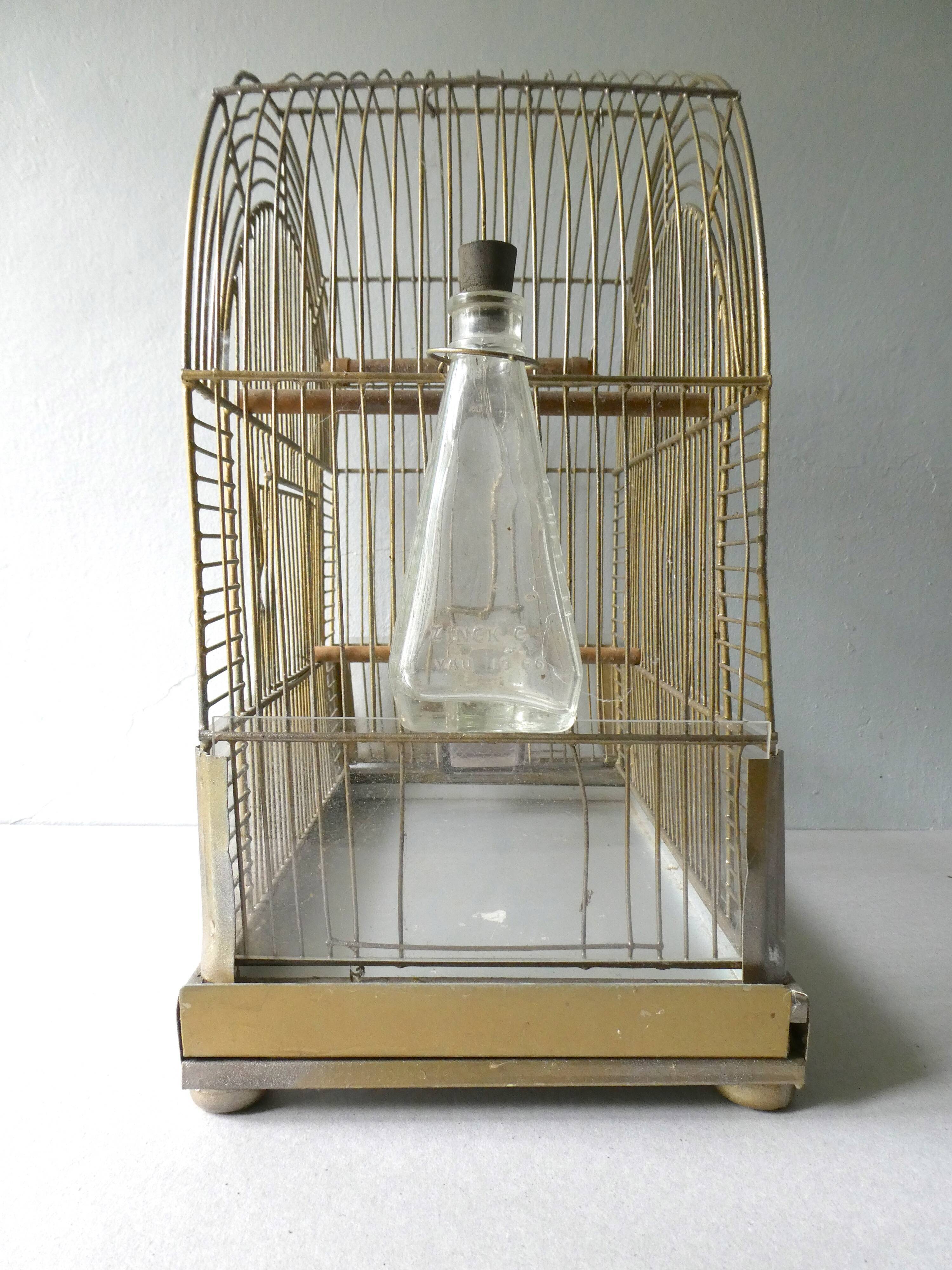 Cage à oiseaux en métal doré des années 60