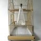 Cage à oiseaux en métal doré des années 60