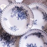 6 hollow plates iron earth model Flora