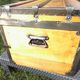 Trunk in fir of the vosges late 19th completely renovated