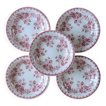5 deep plates Sarreguemines