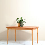 Vintage teak extending table