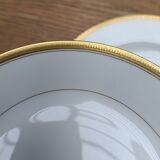 Haviland Limoges porcelain tableware set