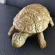 Empty vintage animal bronze pocket