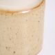 Scandinavian sandstone pot wild patterns