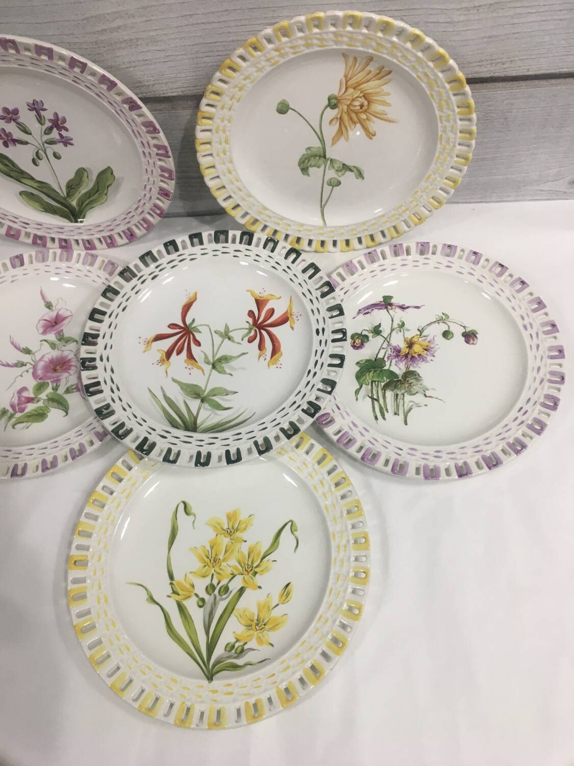 Rovina Epinal plates