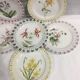 Rovina Epinal plates
