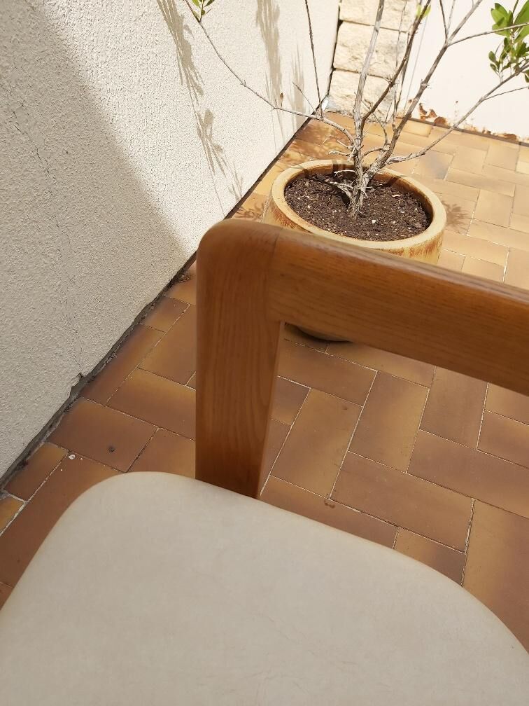 Vintage chair Augusto Savini model Pamplona 60s