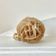 Rose des sables