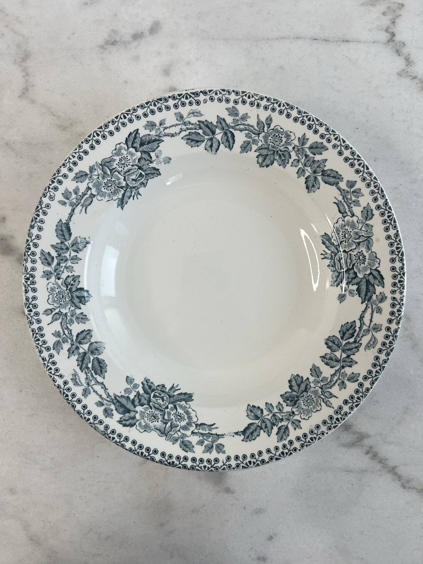 Shallow dish in ironstone Sarreguemines Digoin 22cm