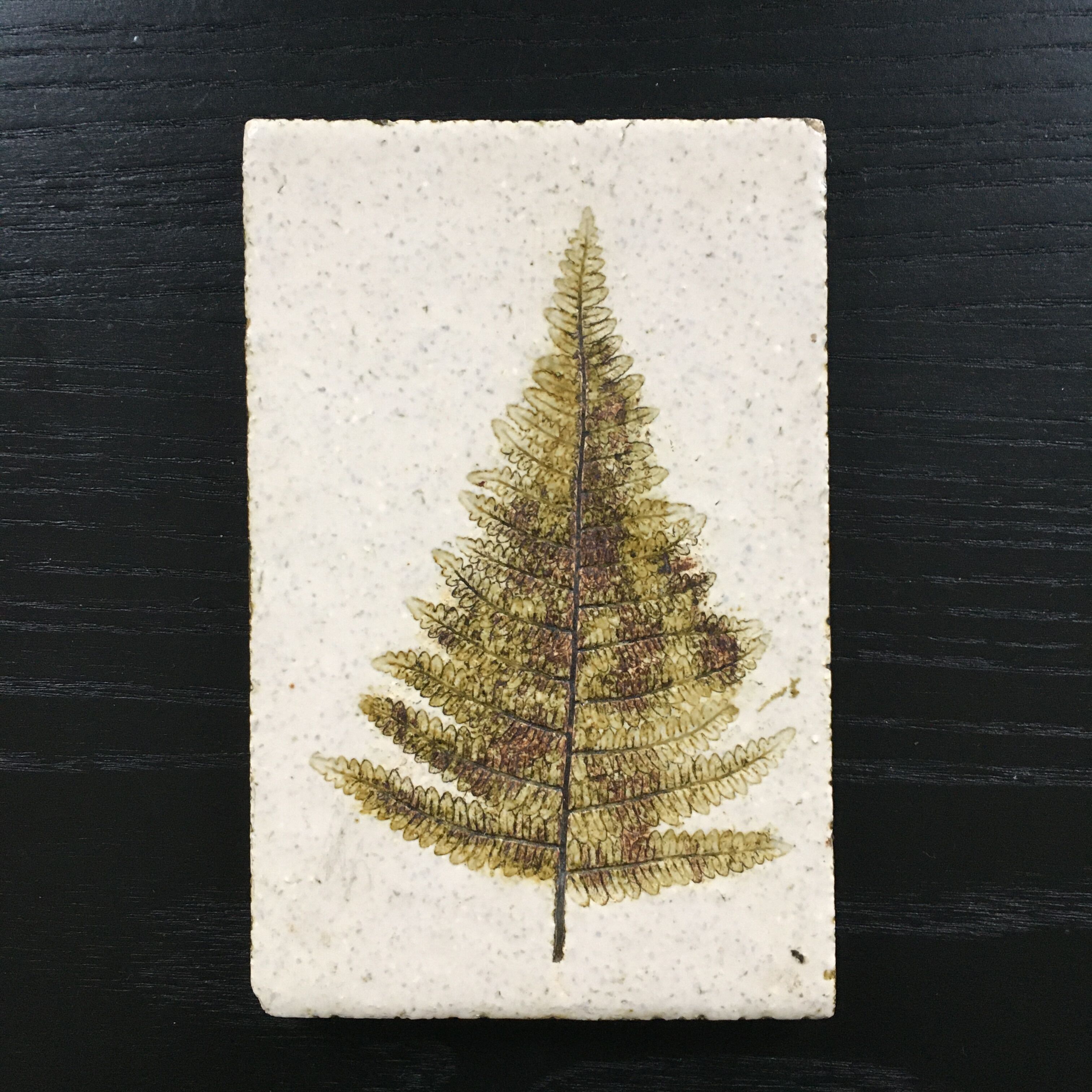 Paper press fern decoration