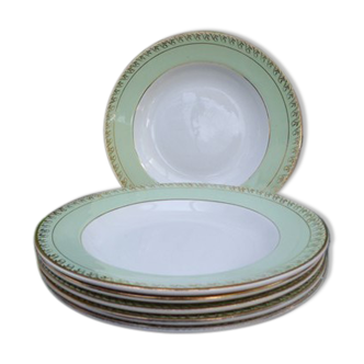 Vintage shaped plates green border border