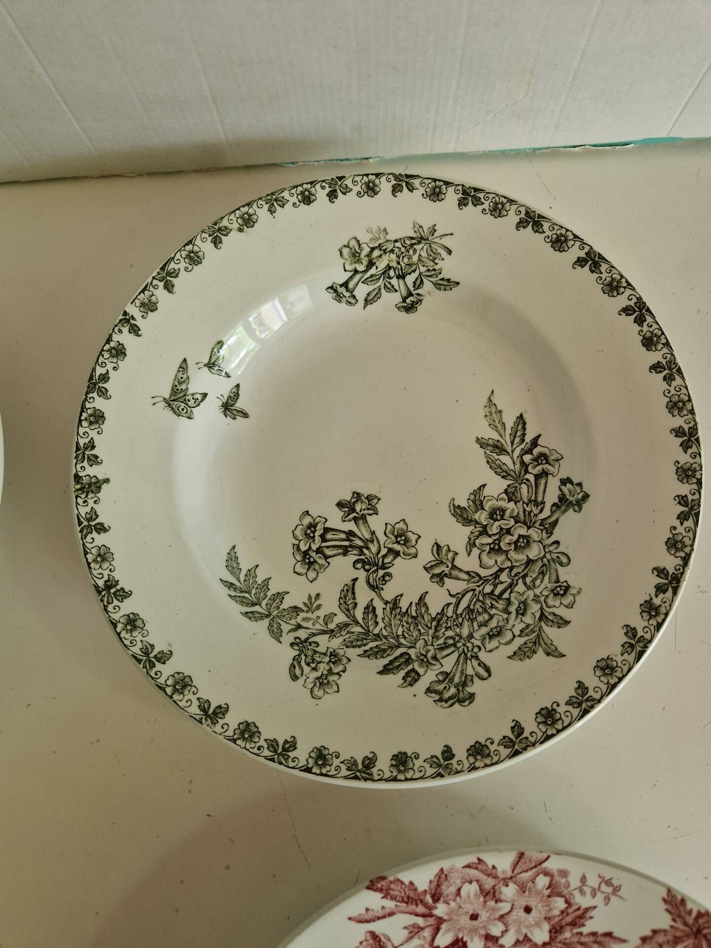 Set of 6 Deep Plates Saint Amand Terre De Fer Anemone Model Den