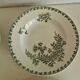 Set of 6 Deep Plates Saint Amand Terre De Fer Anemone Model Den