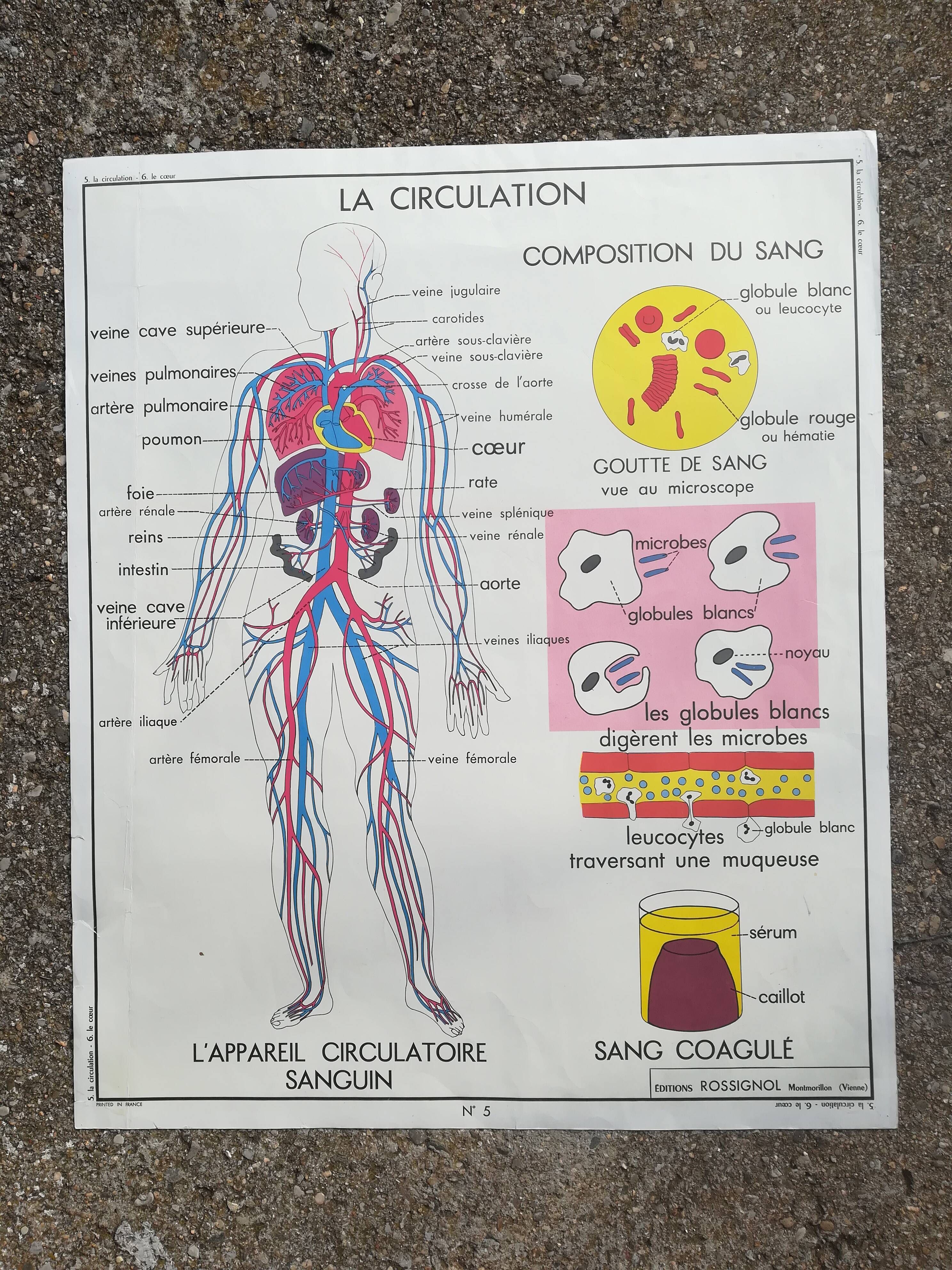 Rossignol school poster N°5 The heart N°6 Vintage traffic