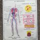 Rossignol school poster N°5 The heart N°6 Vintage traffic