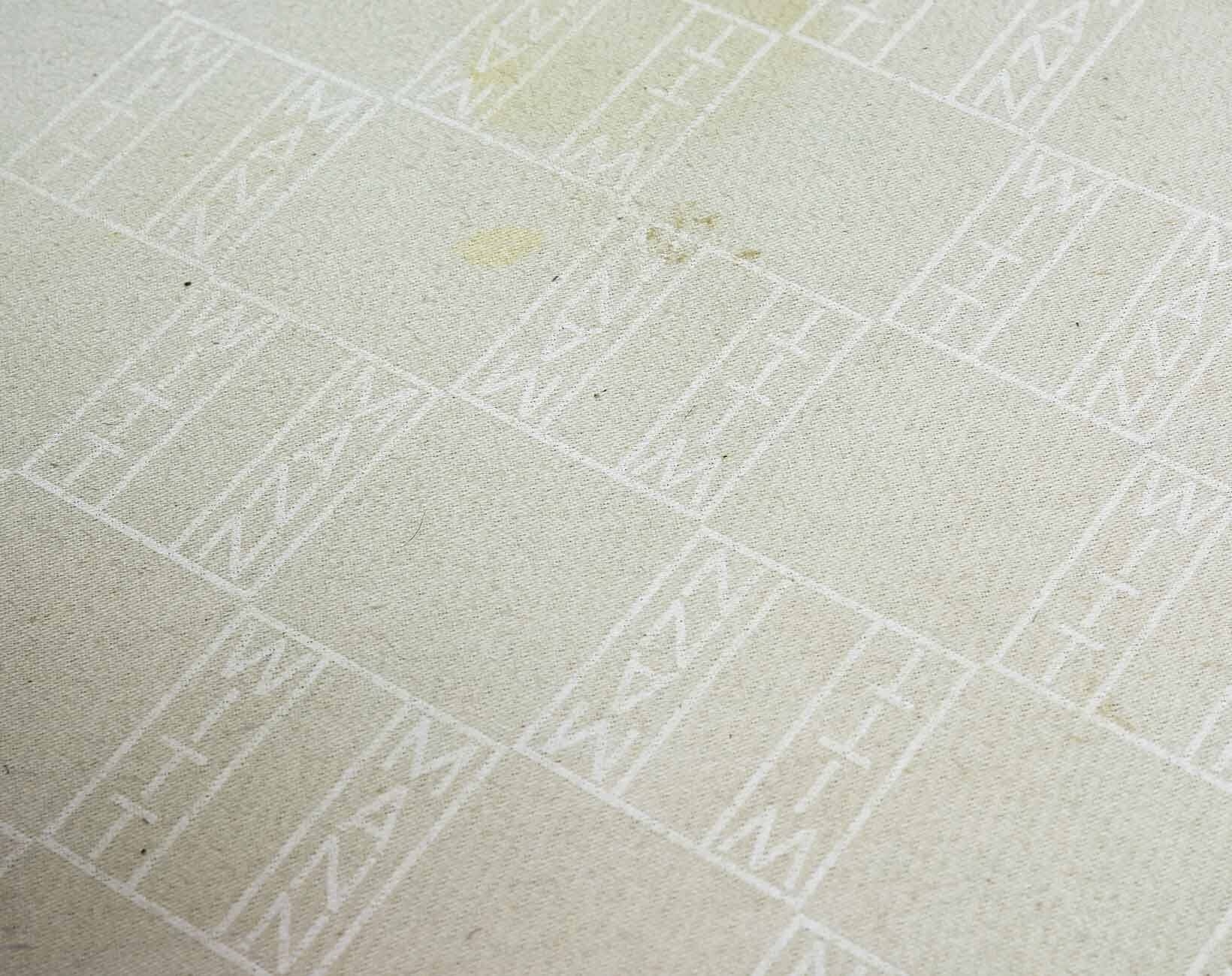 Wittmann Petrol Soft Leather Wing Chair Designed Model Aura  by Paolo Piva