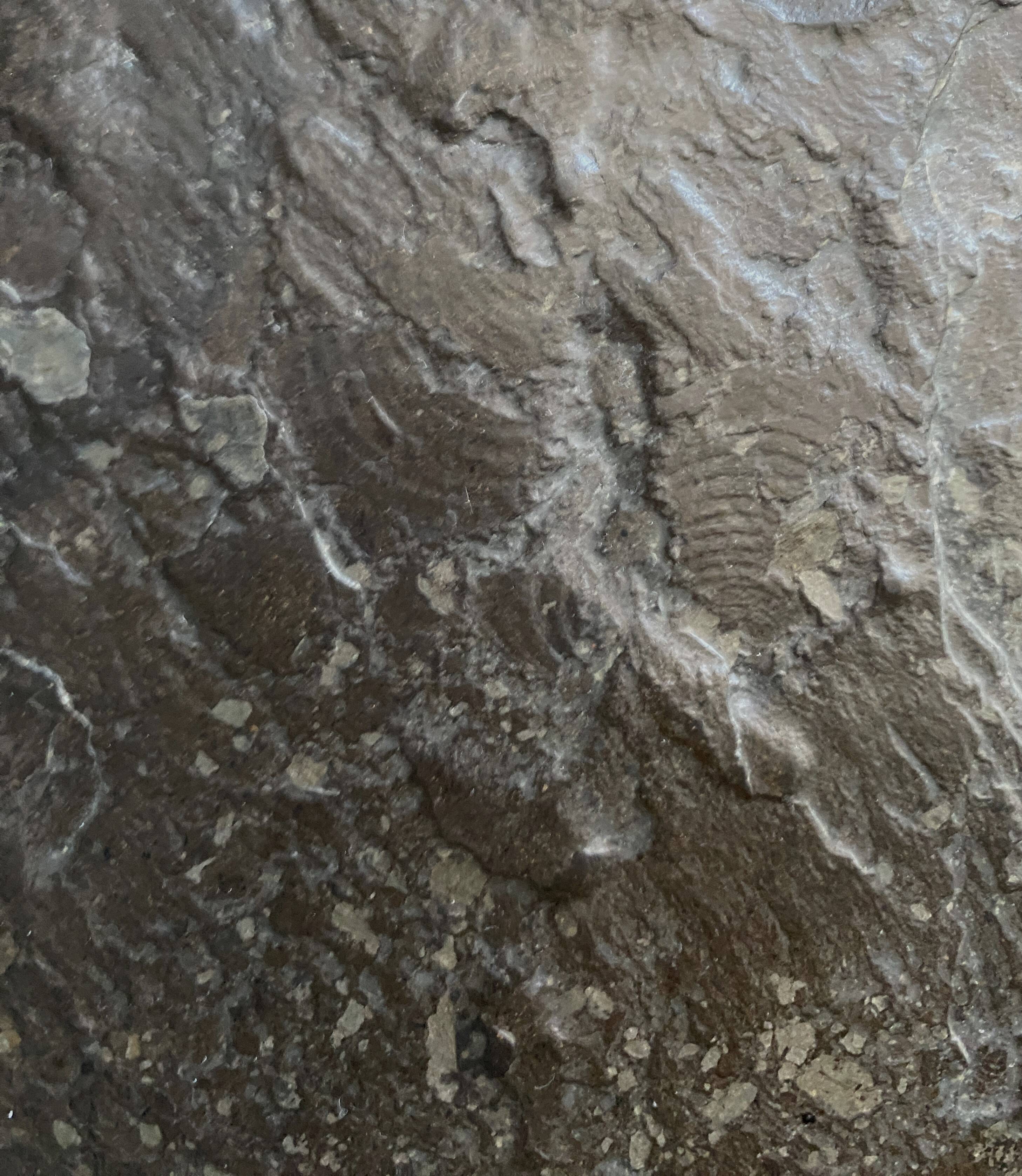 Slate top and chrome coffee table by Dr. Peter Daenert 1970s