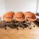Set of 6 Mya office chairs, Aresline