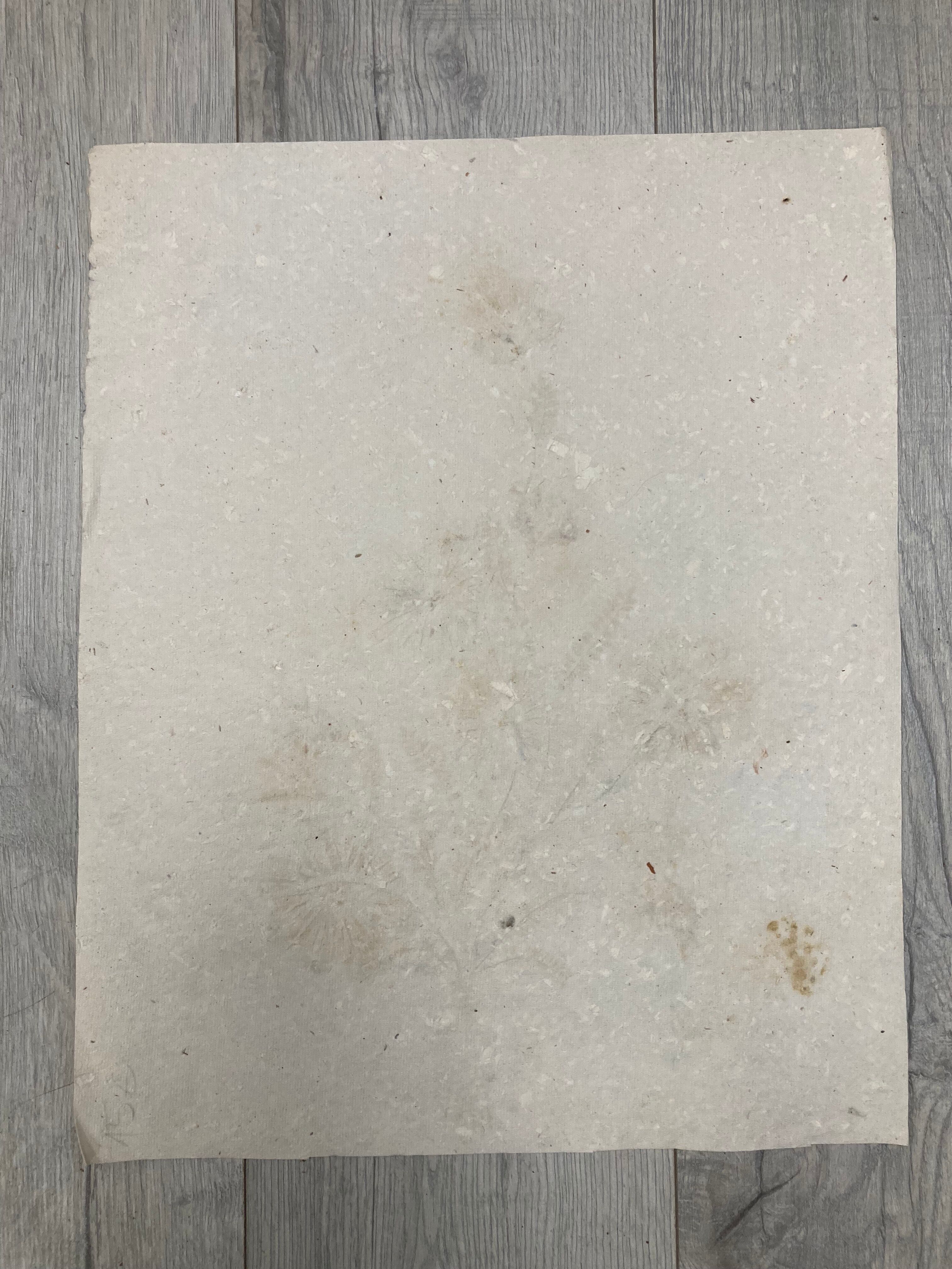 Planche fleurs séchées