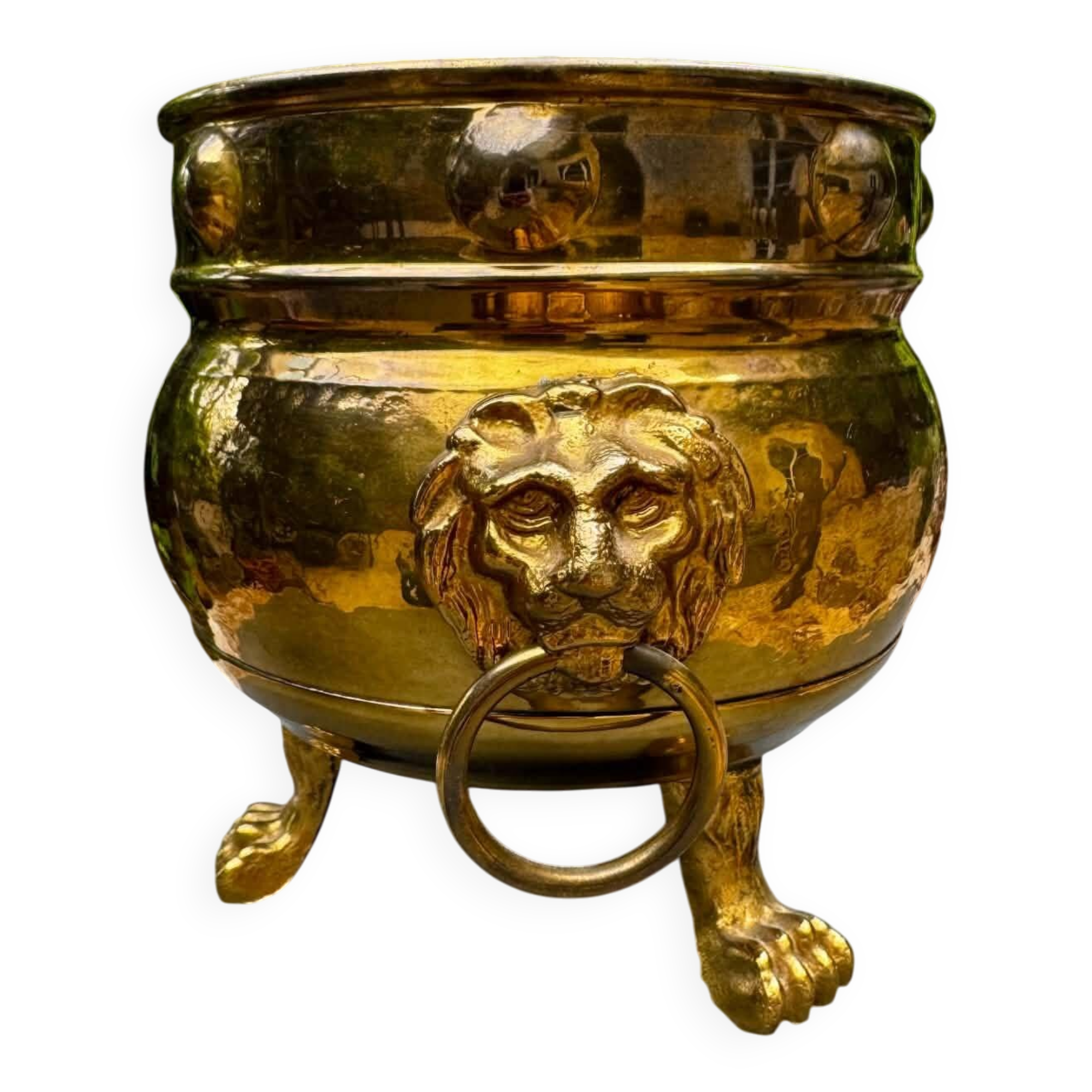 Brass lion baroque jardinière