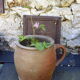 Sandstone pot with handle