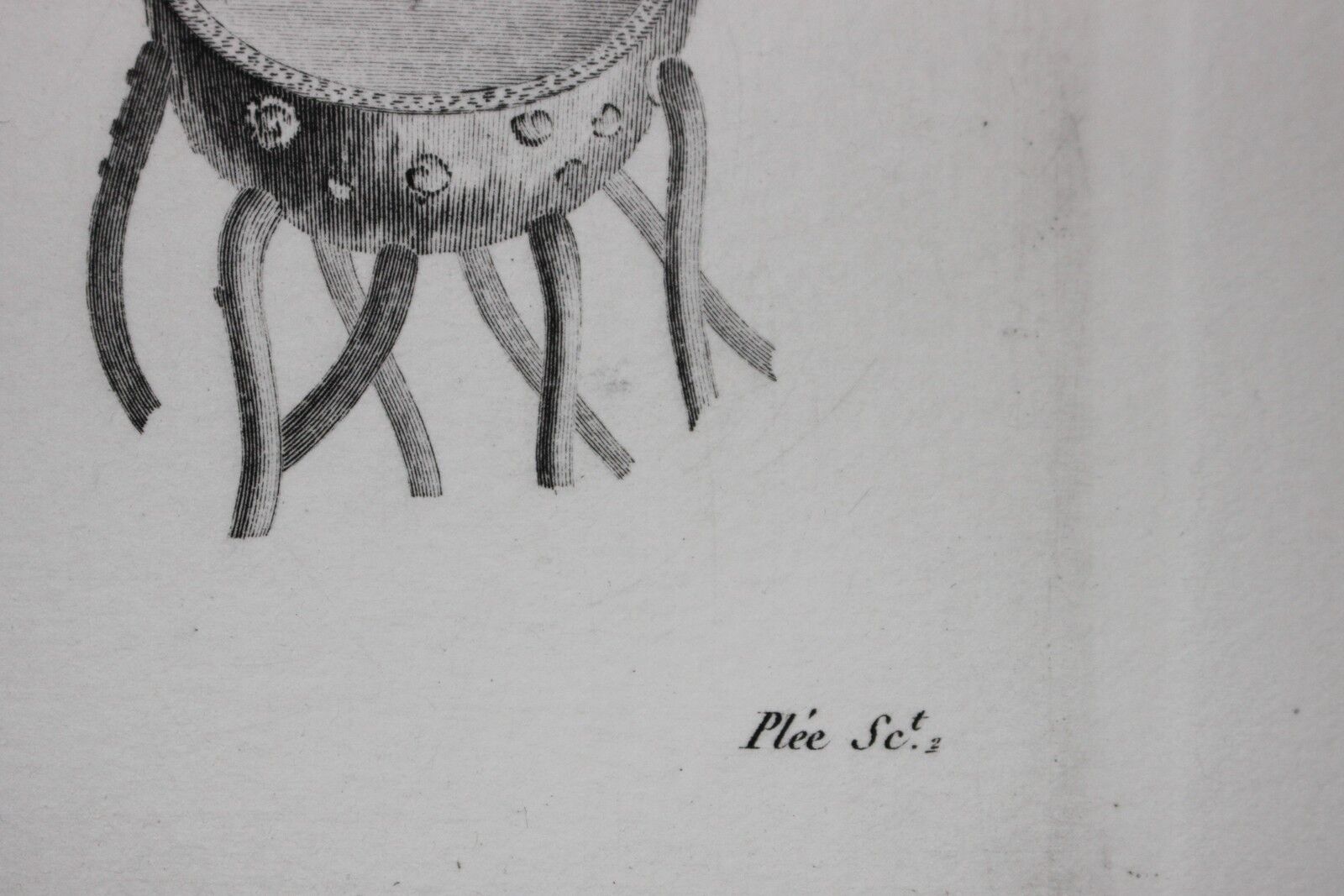 Gravure fleur - planche original de la "chalcographie du louvre" 1800 - lotus nymphæa