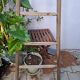 Vintage wooden picking ladder 7 rungs