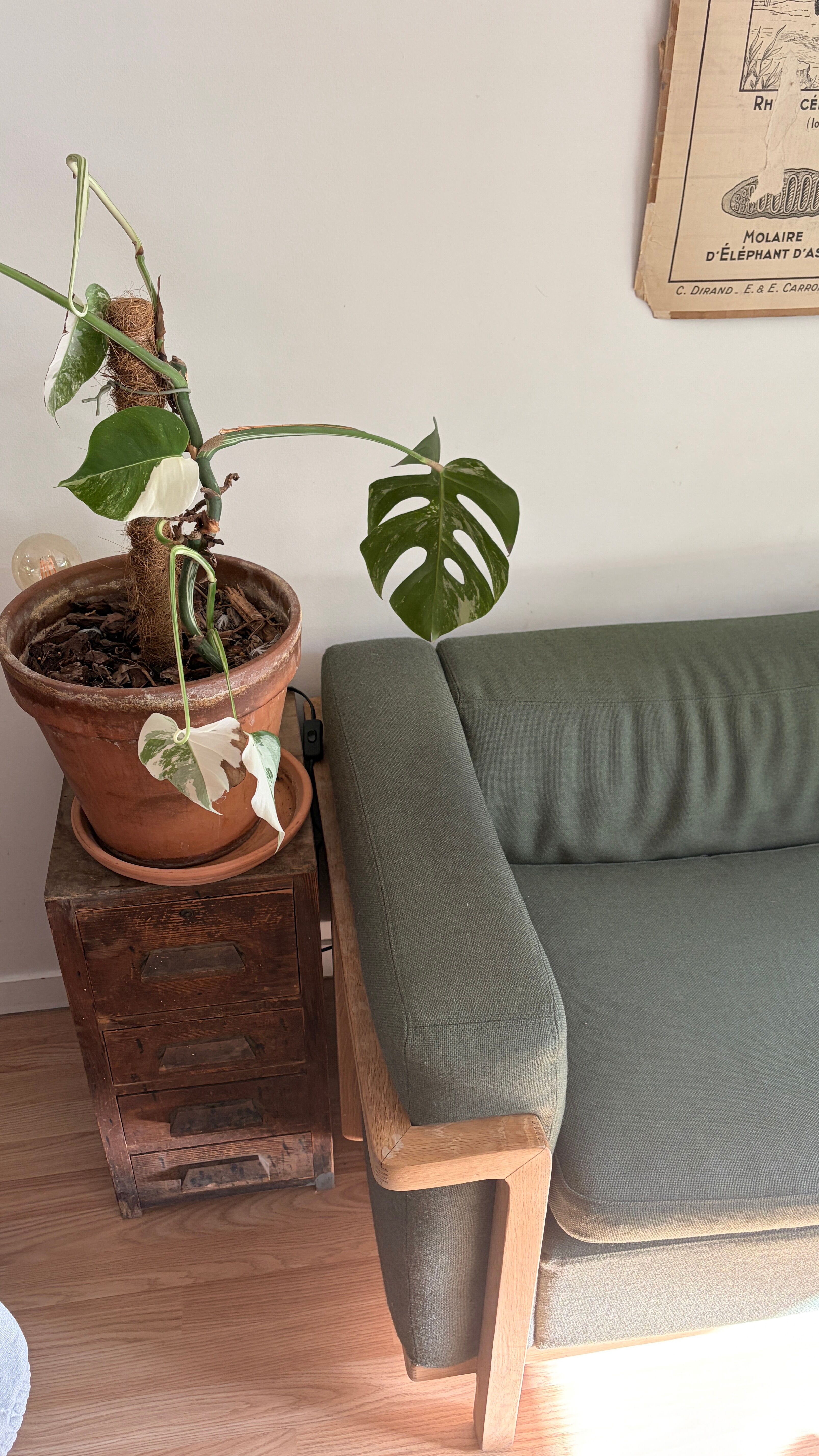 Cobbelwood Sofa