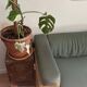Cobbelwood Sofa
