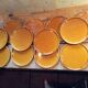 Set of 12 plates vintage