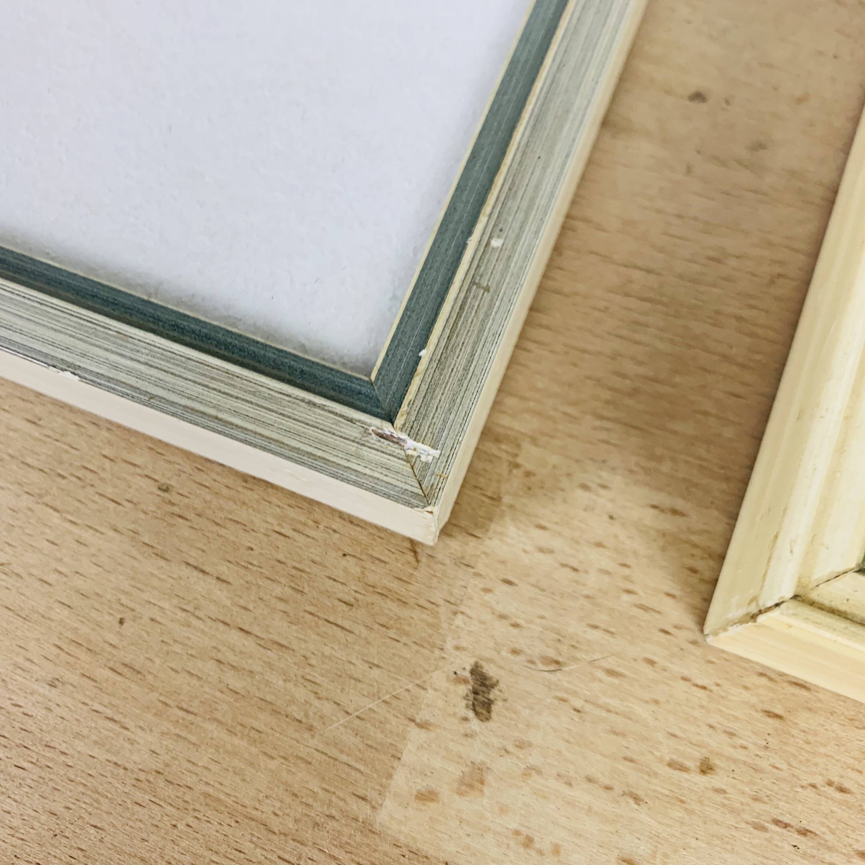 2 vintage naturalized butterfly frames