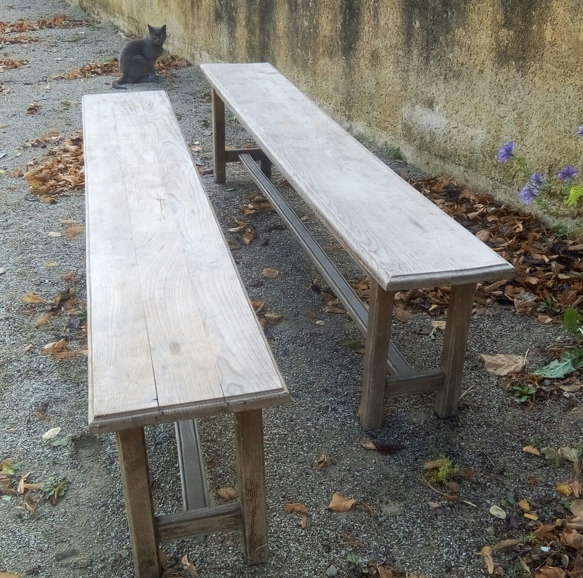 Pair of oak benches