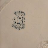 Plate iron earth Salins