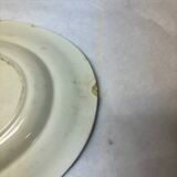 Old earthenware dish iron earth birds