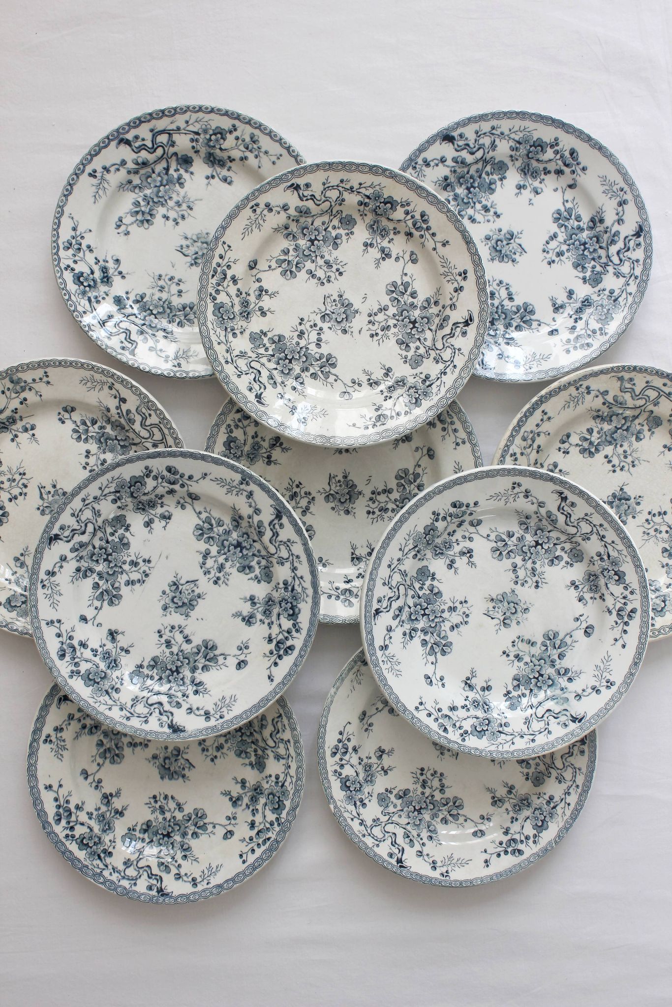 10 flat plates in iron earth "Fleurette" Gien gold medals