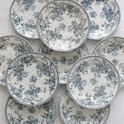 10 flat plates in iron earth "Fleurette" Gien gold medals