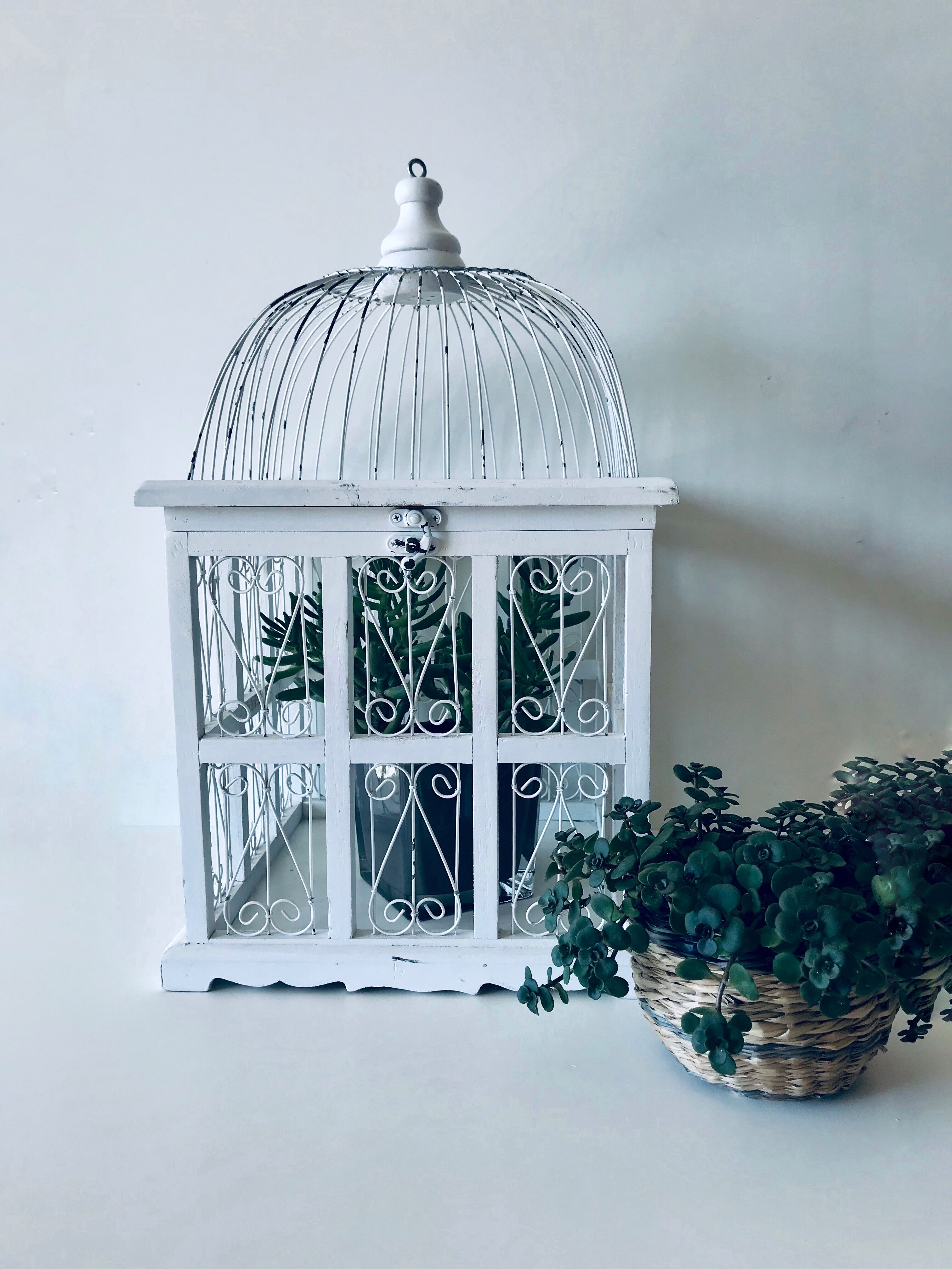 Cage à oiseaux blanche