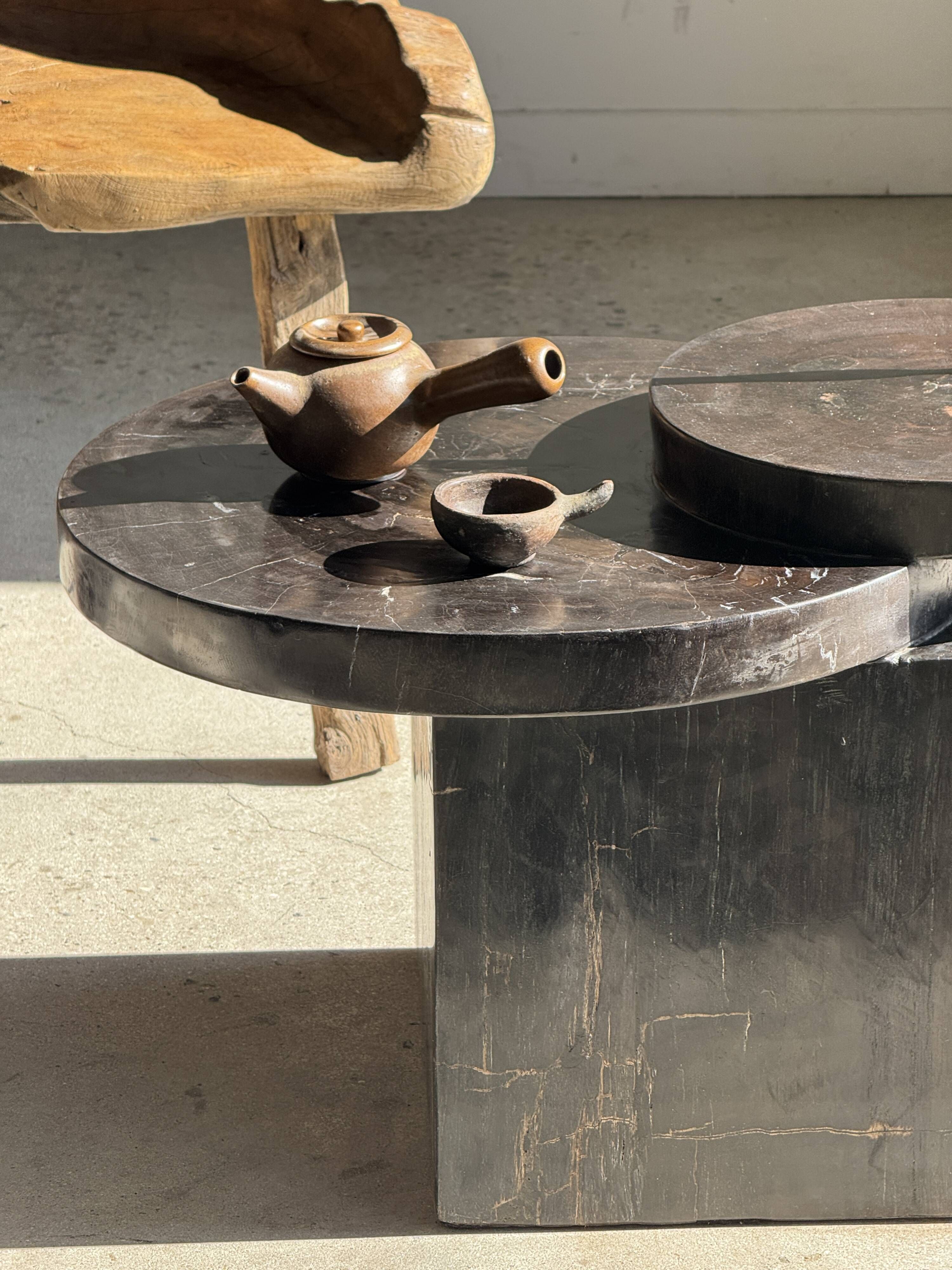 Brown petrified wood coffee table from Indonesia with a double circular top.