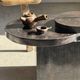 Brown petrified wood coffee table from Indonesia with a double circular top.