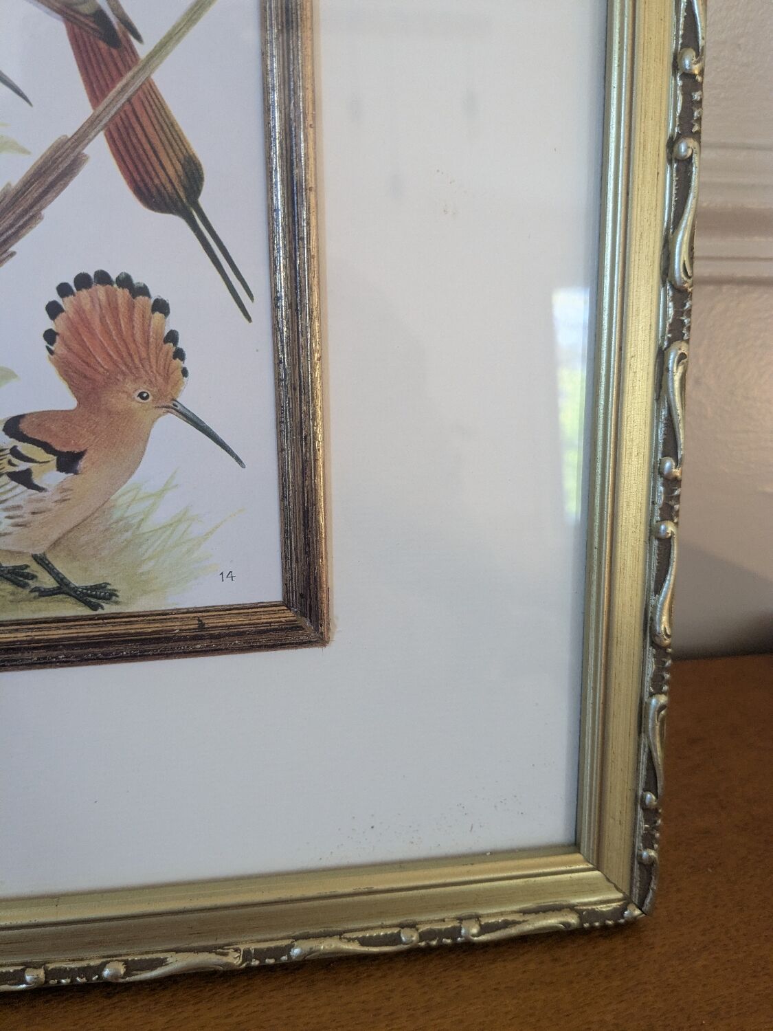 Lithographic frame of birds
