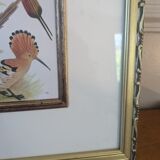 Lithographic frame of birds