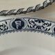 Pair of ironstone plates – Salins François Ier & KG