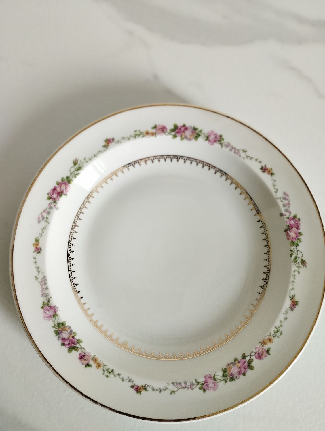 Deep plates Bardet Limoges France