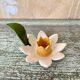 Daffodil candle holder