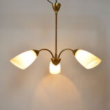 Lustre, années 1950