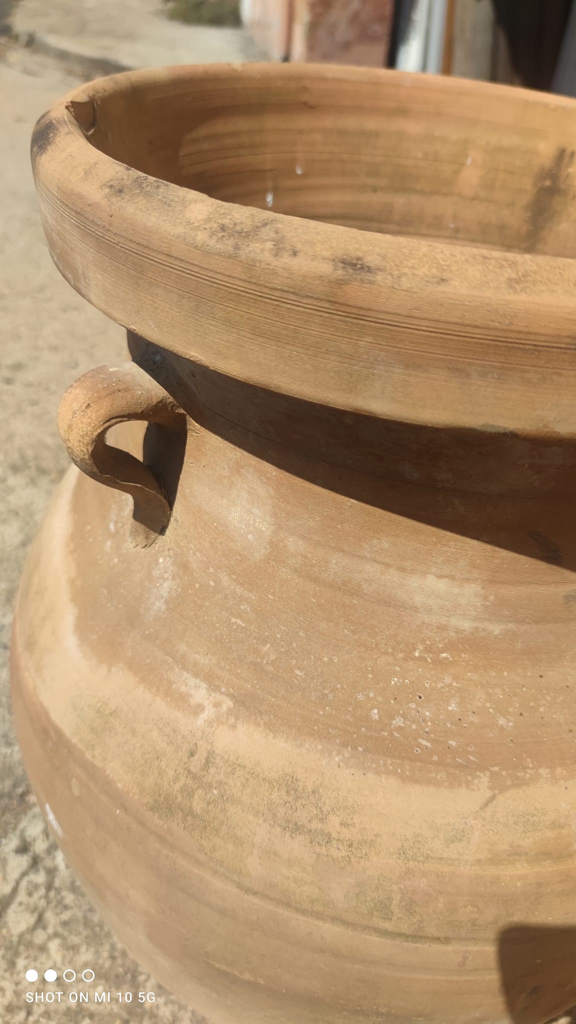 Terracotta garden jar