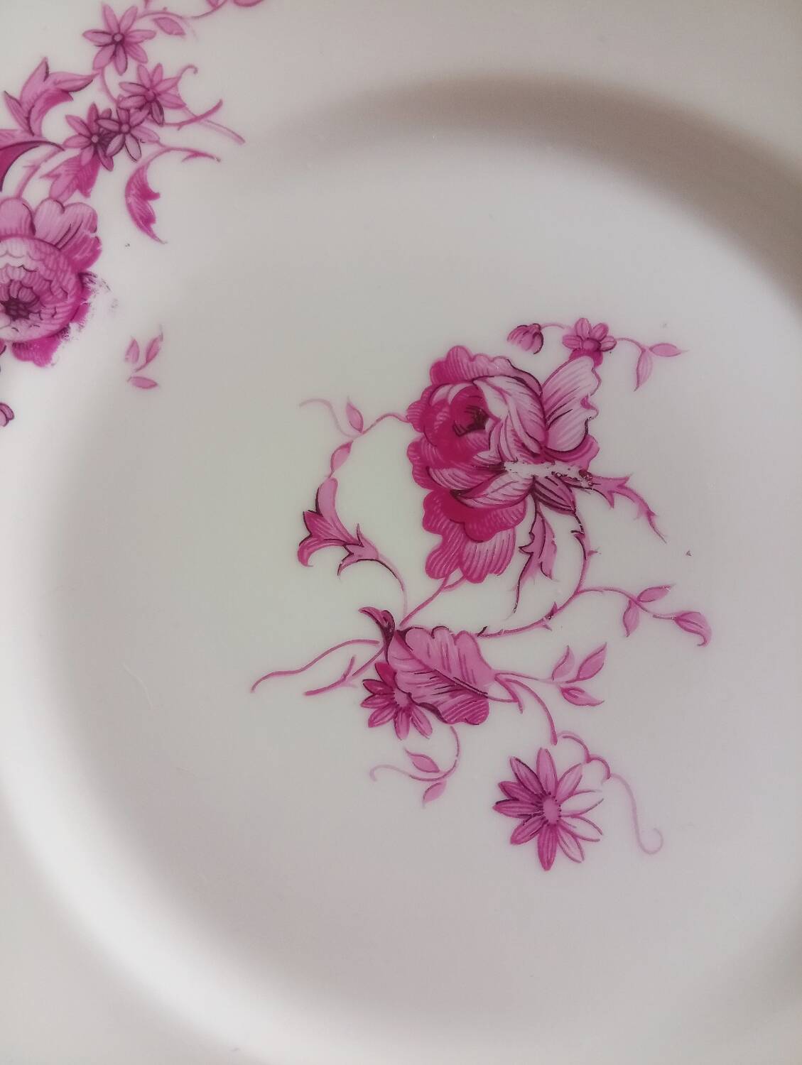 6 Maison Bernardaud dessert plates in Limoges porcelain