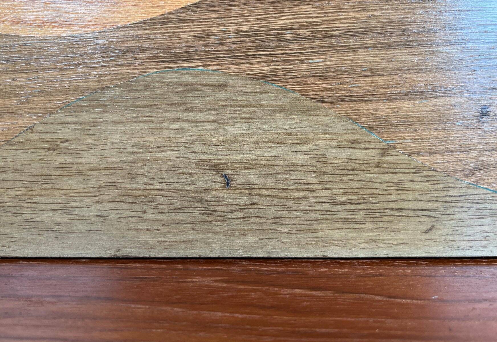 Mid-century wood veneer intarsia wall panel, 1960s